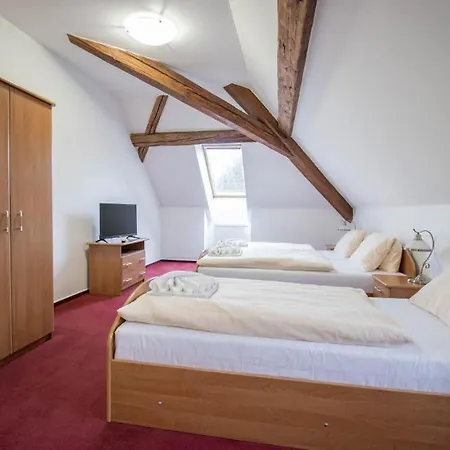 Hotel Zamecek 3*