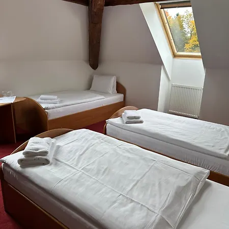 Zamecek Hotell 3*